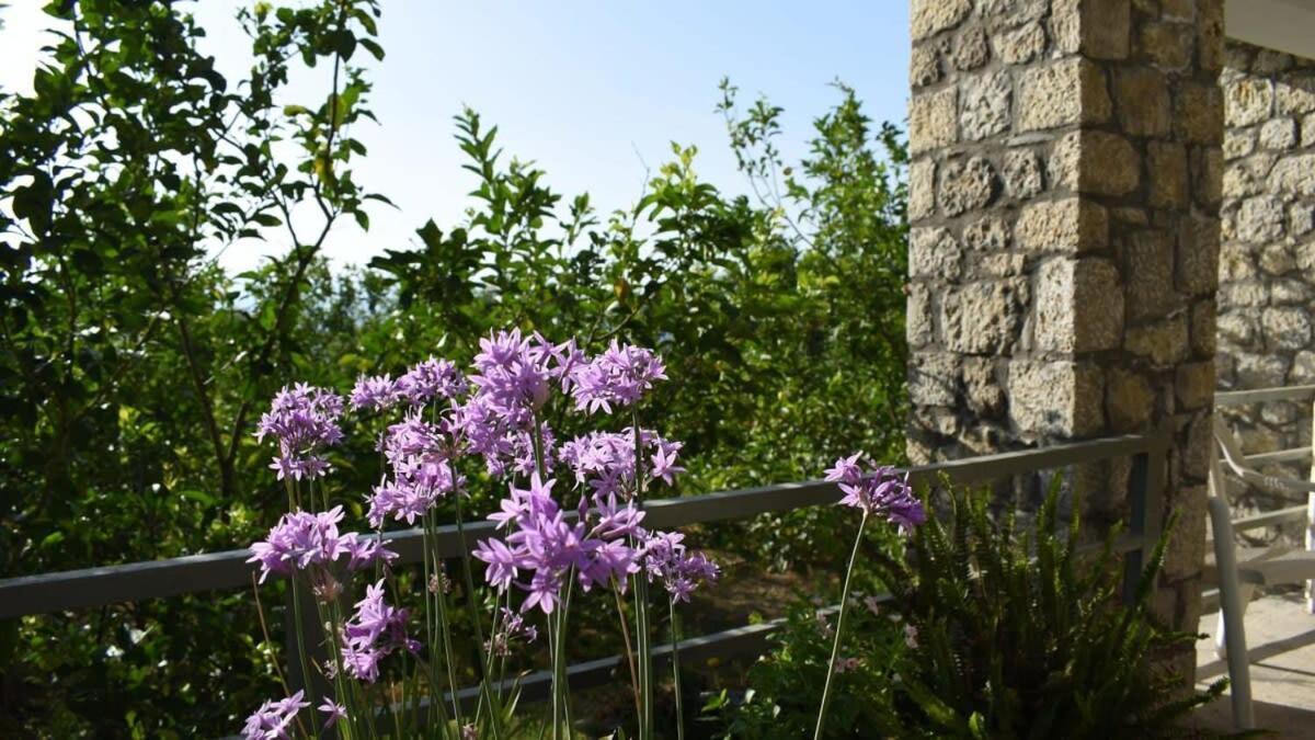 Вилла Coastal Stone Hideaway With Stunning Scenery Kitriai Экстерьер фото